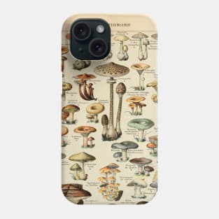 Adolphe Millot Fruits Champignons Chart Illustration - Mushrooms Phone Case