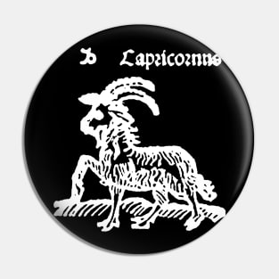 capricorn Pin