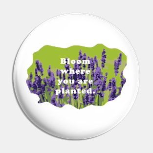 Bloom  Where You Are Planted Pin