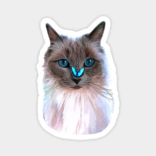 Ragdoll Cat Butterrfly Magnet