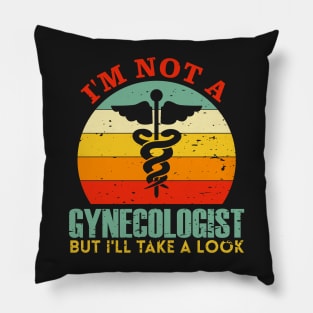 I'm Not A Gynecologist But I'll Take A Look Pillow