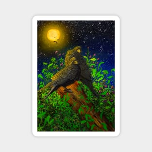 Crows Magnet