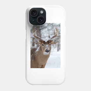 White-tailed buck in snow Phone Case