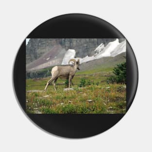 Bighorn Sheep Pin