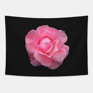 Raindrops Dew on Pink Rose Flower Tapestry