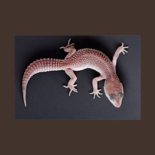 Albino Leopard Gecko T-Shirt