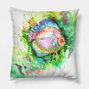 Aquarium, Discus Pillow