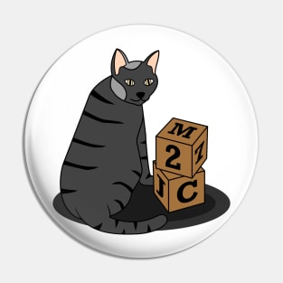 Funny black cat with cubes Pin