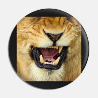 Roaring lioness Pin