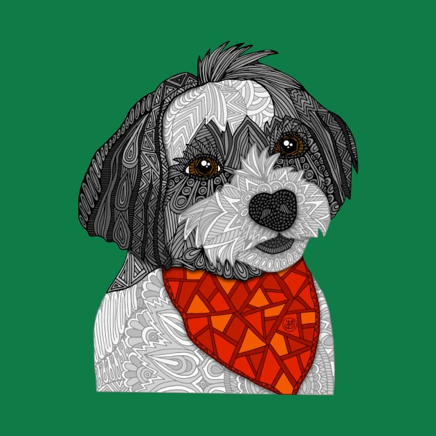 Max the Havanese by ArtLovePassion