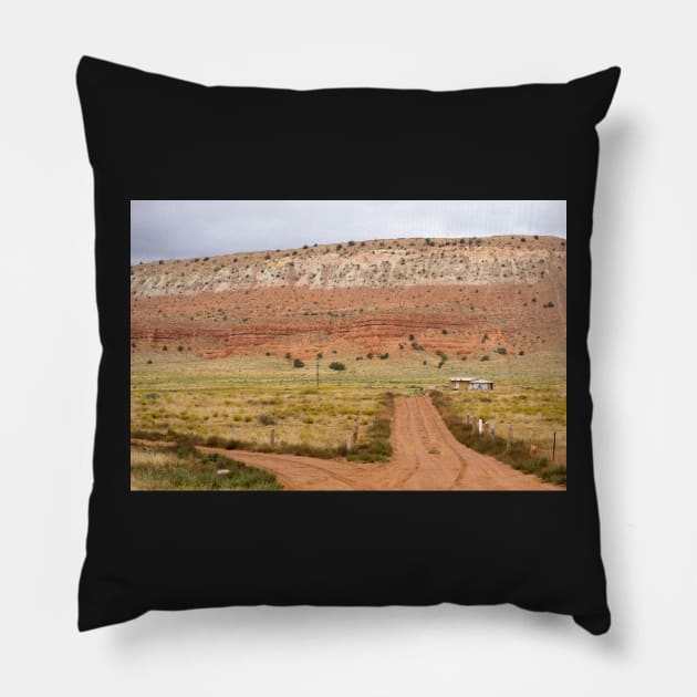 Little old house on prairie Pillow by brians101