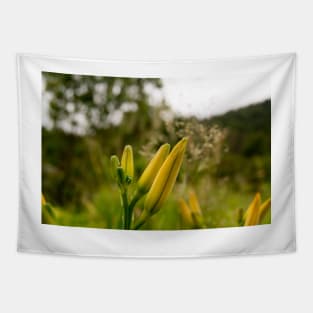 blb double day lilies Tapestry