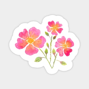 Wild Roses Magnet