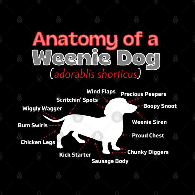 Anatomy of a Weenie Dog by Weenie Riot