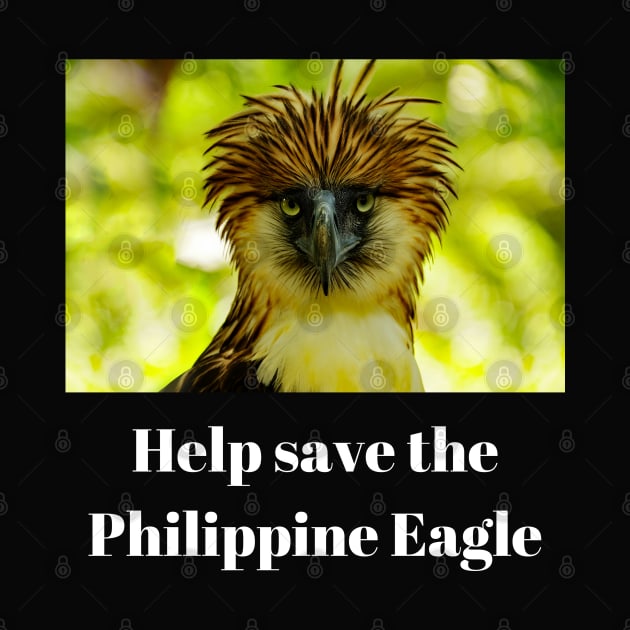 Help save the Philippine eagle by CatheBelan