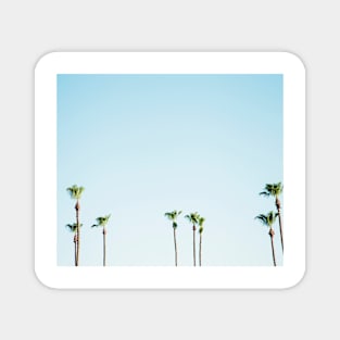 Retro palms in the sun Magnet