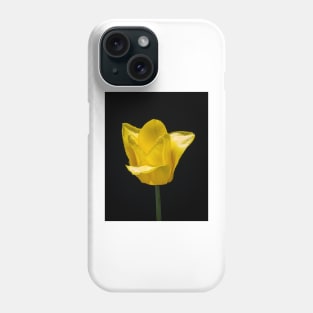 Tulip In Profile 5 Phone Case