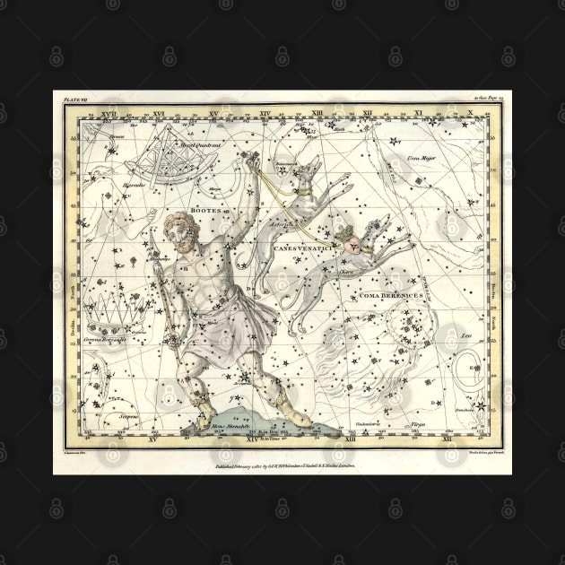 Constellations Bootes, Canes Venatici - Alexander Jamieson by forgottenbeauty