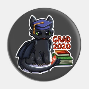 Grad 2020 Toothless Pin