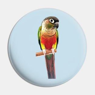 Green Cheek Conure Parrot Bird design, Love for birds Pin