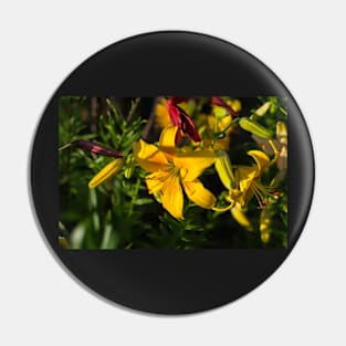 Yellow lily (Lilium) flower Pin