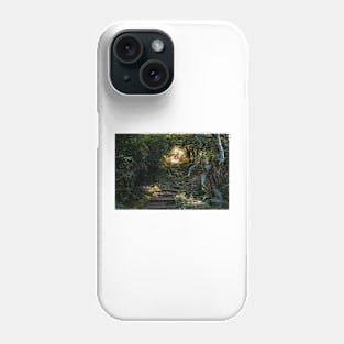 Staircase in a forest Phone Case