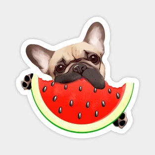 French bulldog and Watermelon, summer time with frenchie Magnet