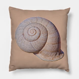 Snail Shell Pillow