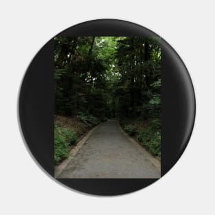 The path Pin