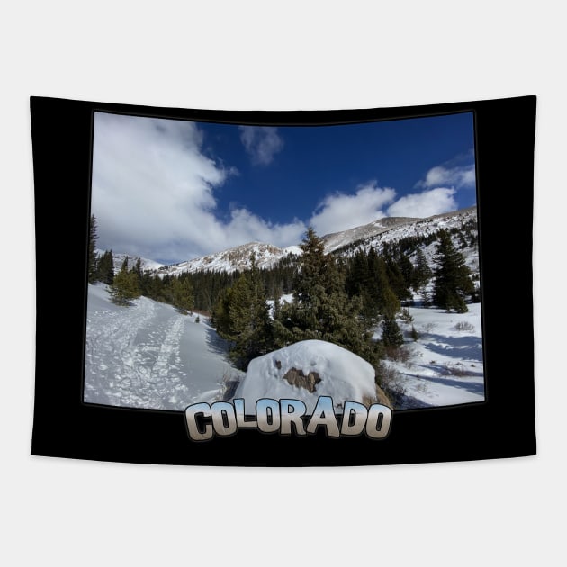 Colorado State Outline (Winter Mountains) Tapestry by gorff