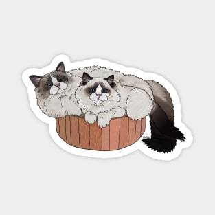 Ragdoll Cat Cuddle Pile Magnet