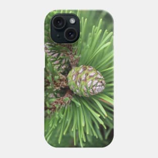 Young Pine Cone in Greens Phone Case