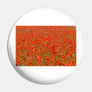 Poppy field Pin