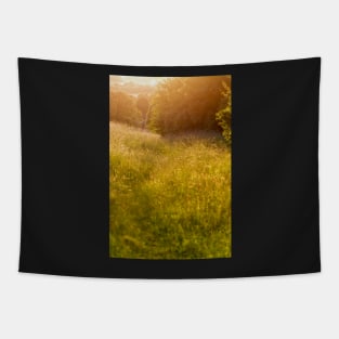 Golden meadow afternoon Tapestry