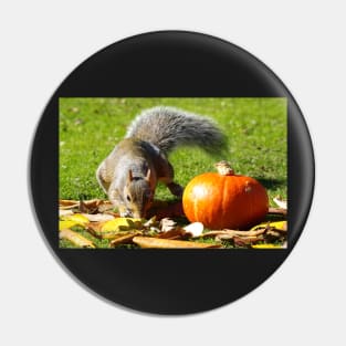 Halloween Squirrel Pin