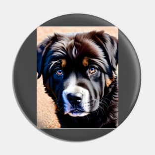 Tibetan Mastiff Puppy 08 Pin