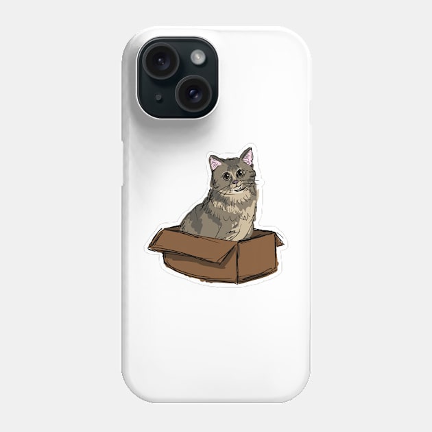 kitty in a box Phone Case by bethepiano