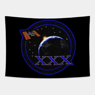 Black Panther Art - NASA Space Badge 78 Tapestry