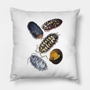 Isopods! Pillow