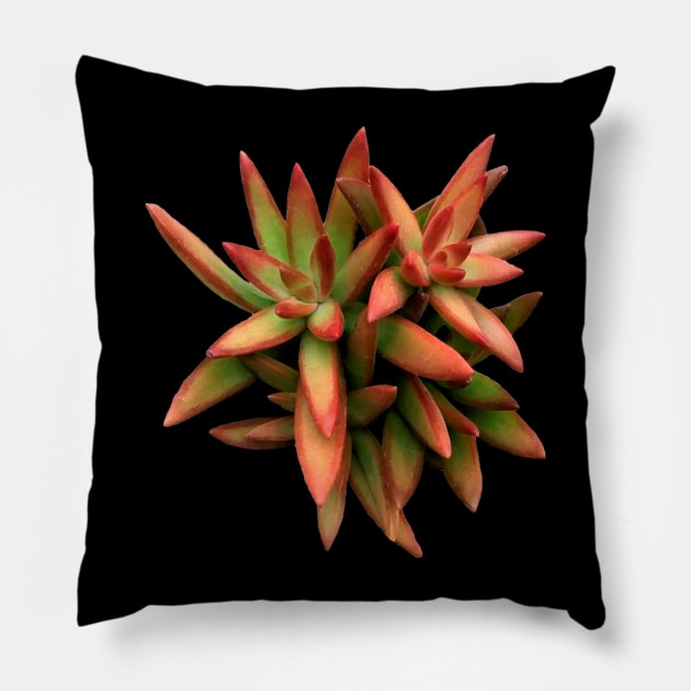 Sedum Fire Storm Pillow by NerdsbyLeo