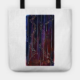 Pleiades Tote