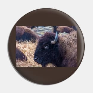 American Bison Woolaroc Oklahoma Pin