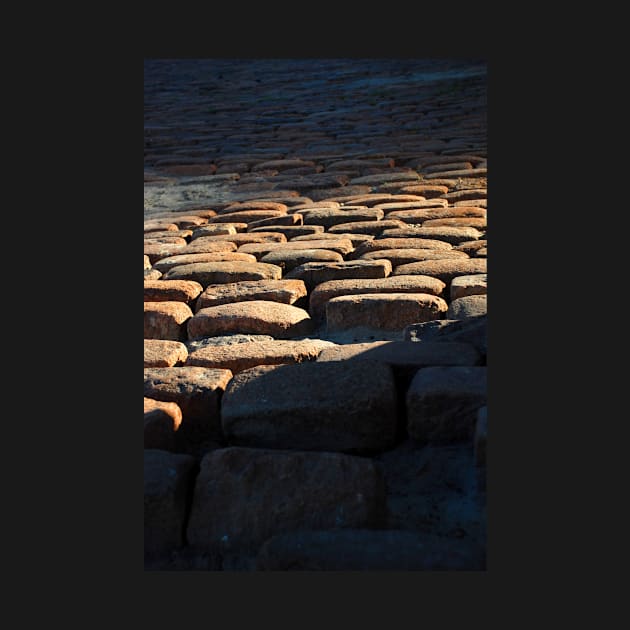 St Louis Cobbles by RichardGibb