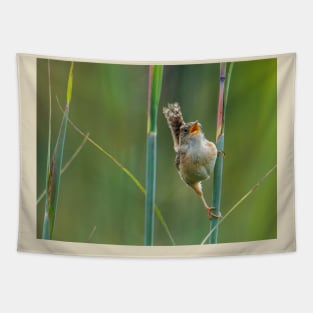 sedge wren Tapestry