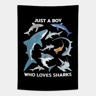 Just a boy who loves sharks Tapestry