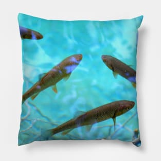 Fishes Pillow
