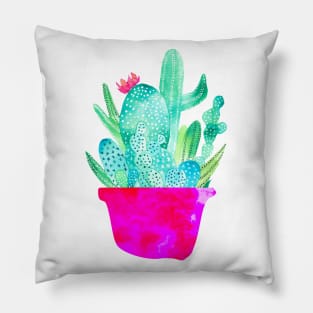 Pot Me A Cacti Pillow