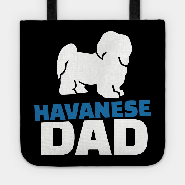 Havanese Dog Size Chart