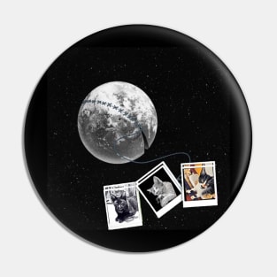 MOON PHOTO CAT REAL Pin