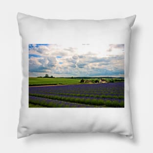 Lavender Field Purple Flowers Cotswolds UK Pillow